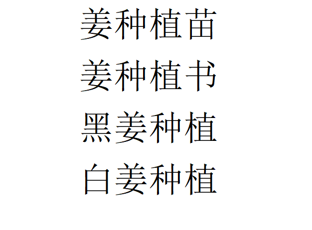 “姜”来可期 镇川镇成功试种老黄姜