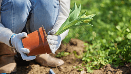 首届爱培生物都市农业合作论坛——暨分布式植物工厂物联网种植理念发布会在南京成功举